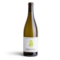 Best Daylesford Organic Organic Chablis