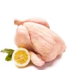 Outlet Daylesford Organic Organic Whole Chicken
